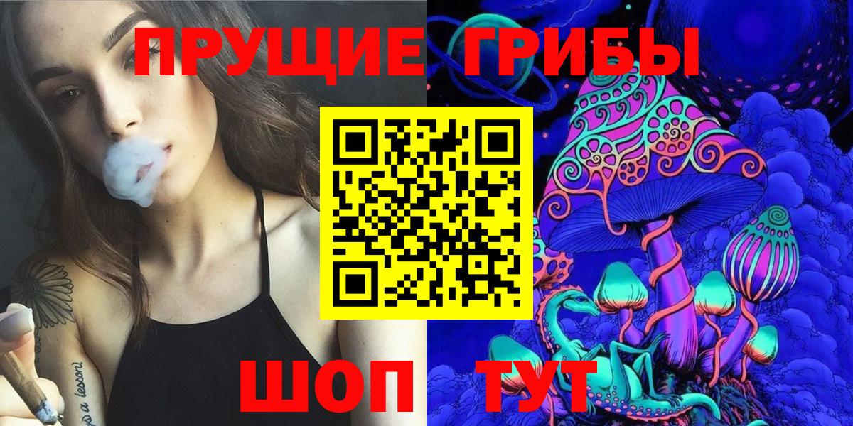 Псилоцибиновые грибы мицелий Кызыл