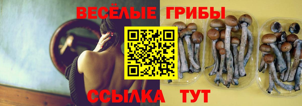 Галлюциногенные грибы Magic Shrooms  Вход с VPN  где продают   Кызыл  Галлюциногенные грибы ЛСД 